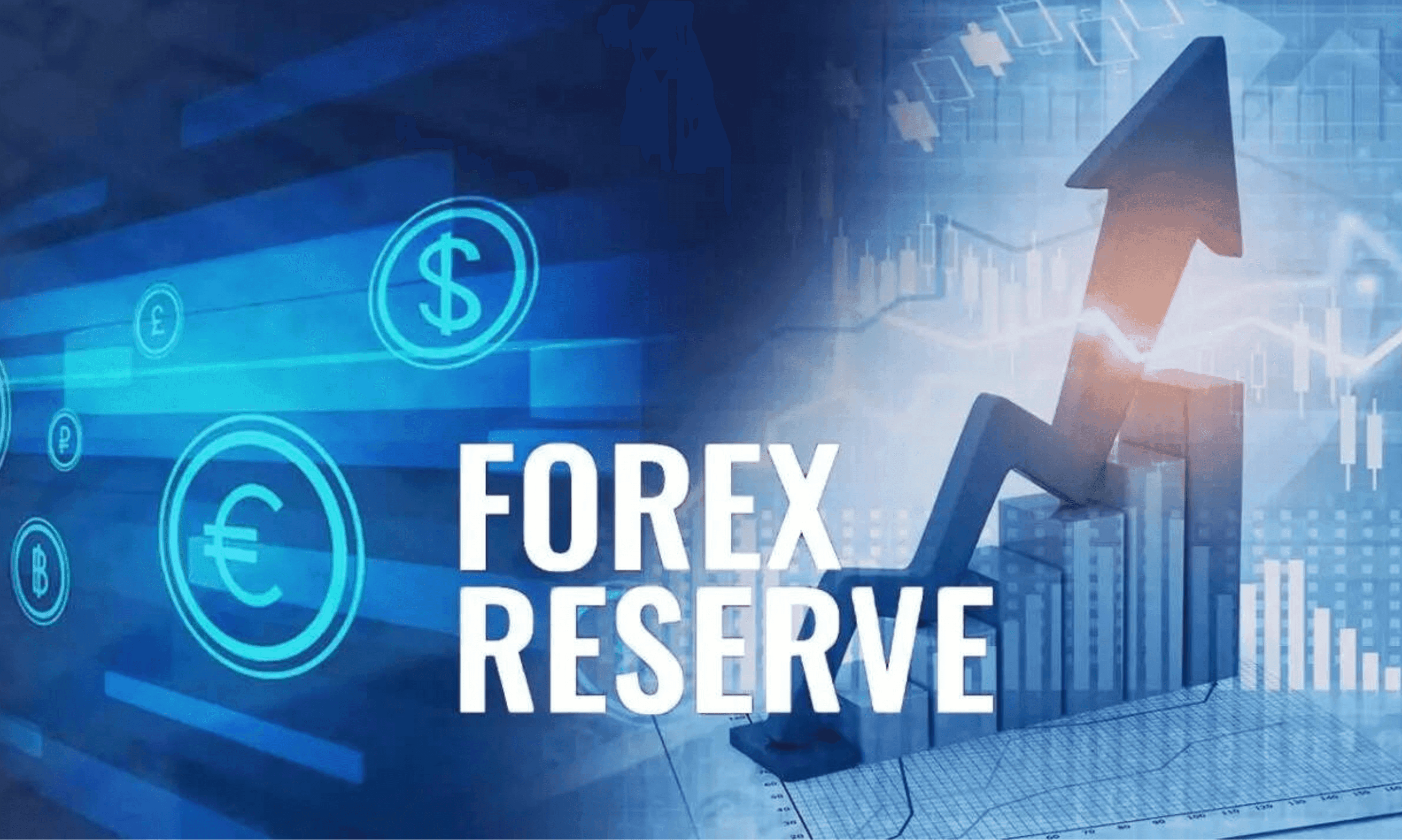 भारत के विदेशी मुद्रा भंडार ने रचा इतिहास, $709 अरब के पार पहुँचकर बनाया नया रिकॉर्ड