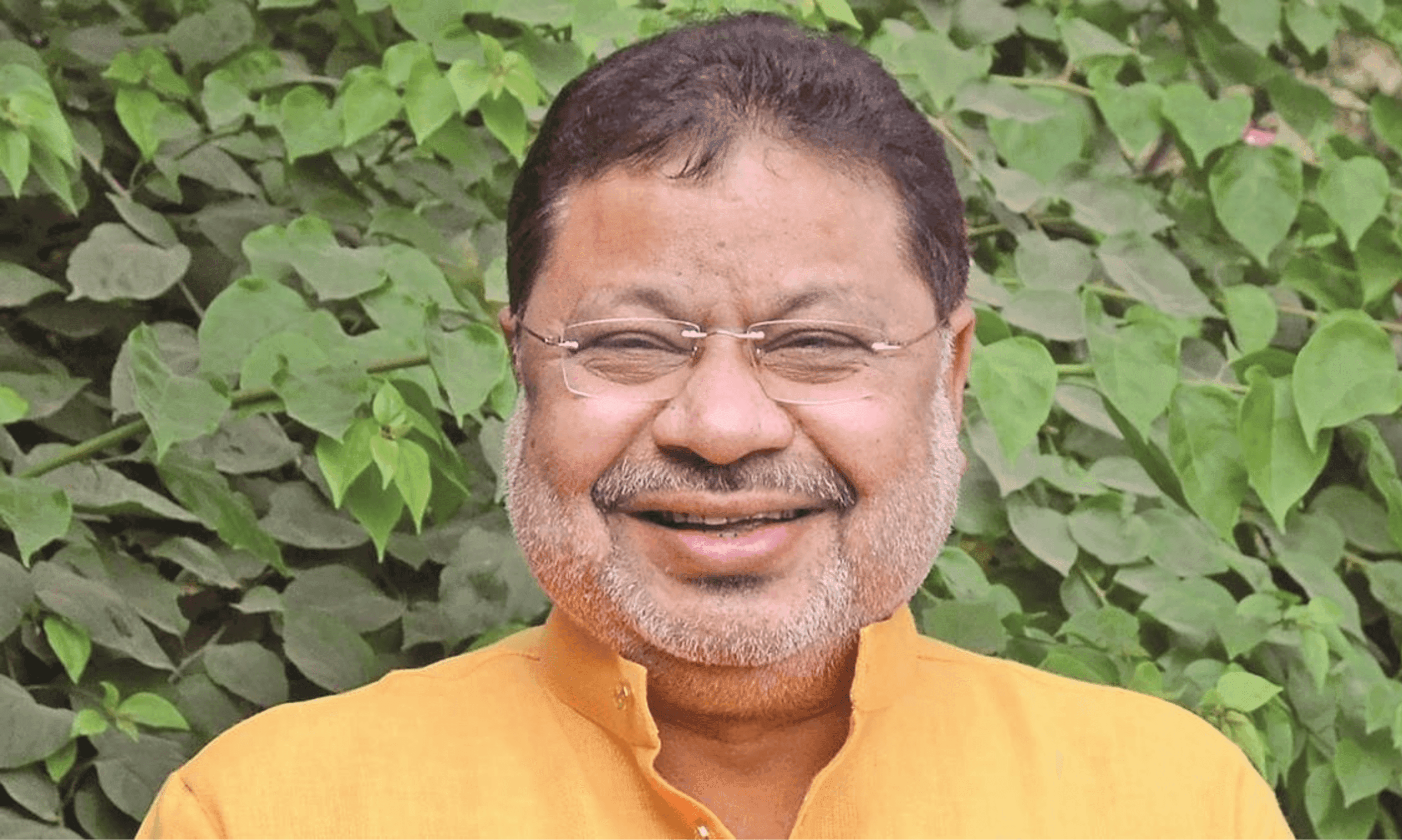 राजधानी की सड़कों से हटेंगे 'छातिम' के पेड़? विधायक सुनील सोनी ने विधानसभा में उठाया स्वास्थ्य का मुद्दा