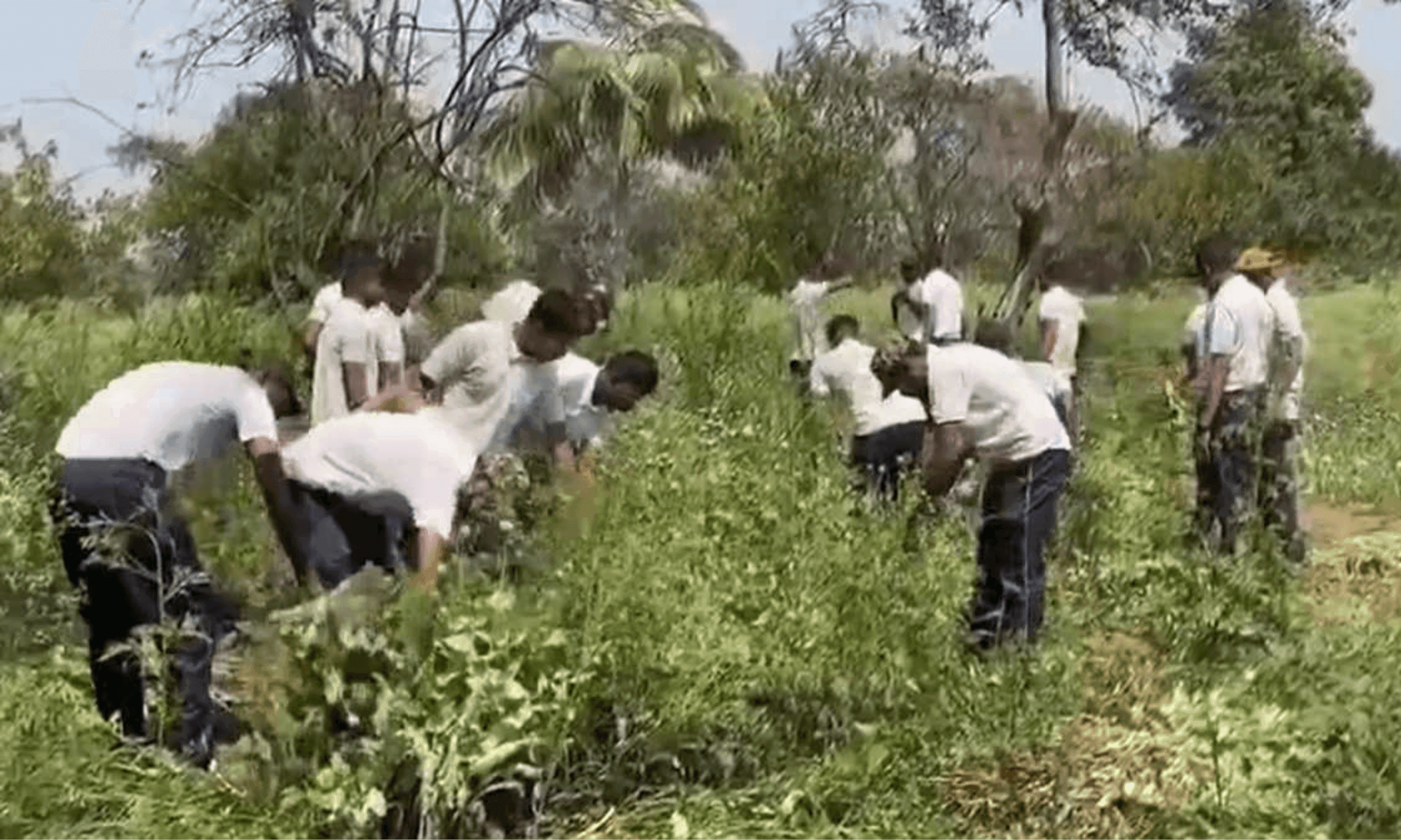 अफीम कांड पर विधानसभा में 'आर-पार': सरकार और विपक्ष के बीच छिड़ी जुबानी जंग