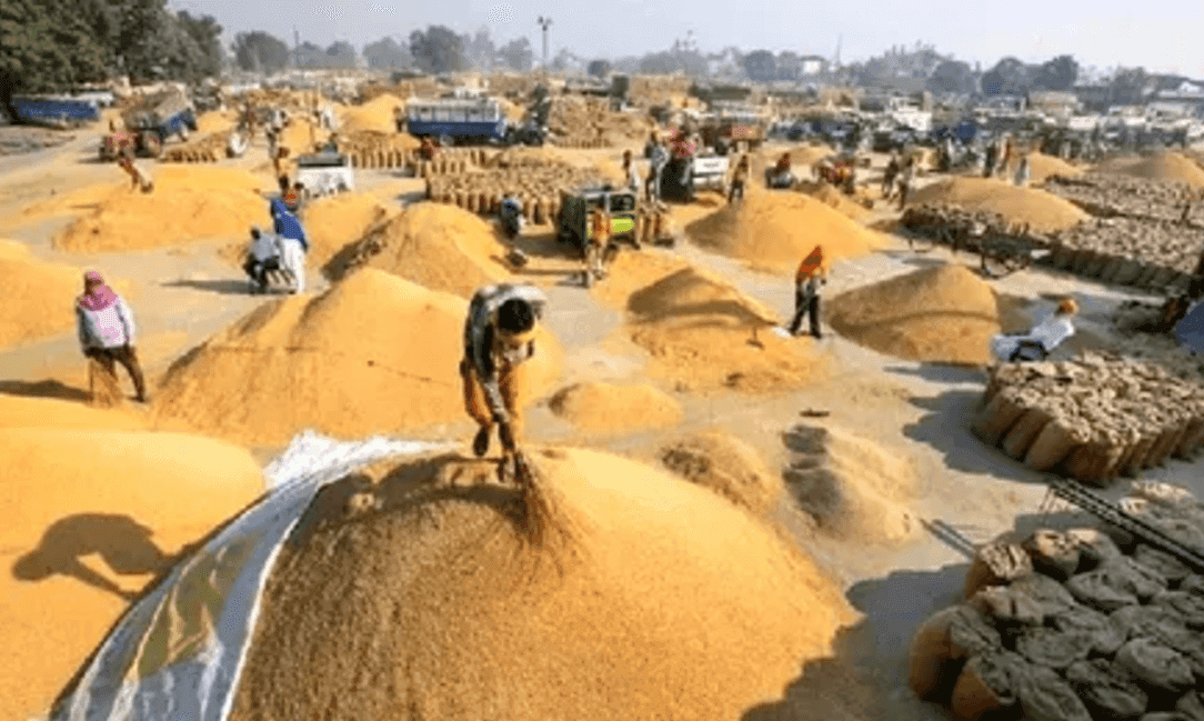 139.85 लाख मीट्रिक टन धान खरीदी के साथ सीजन समाप्त, अकाल और सख्ती ने रोकी रफ्तार