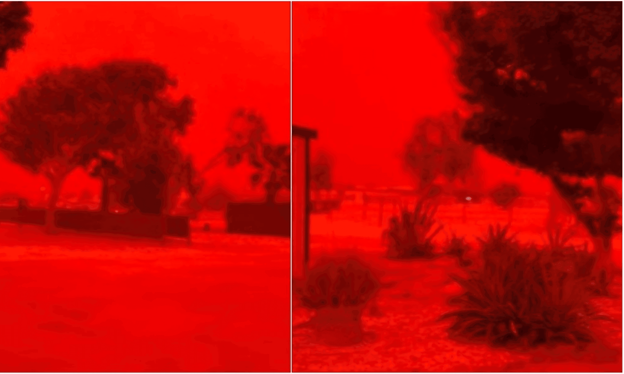 ऑस्ट्रेलिया में 'प्रलय' जैसा मंजर: शार्क बे में खून जैसा लाल हुआ आसमान, दहशत में लोग